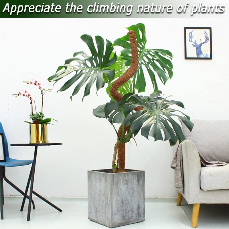 Soupiar 2 Pack Moss Pole  28 Inch Bendable Moss Pole for Plants Monstera  Moss Poles for Climbing Plants Indoor  Coir Plant Pole Sticks Support Stakes for Potted Plants  Pothos  Philodendron - Image 5